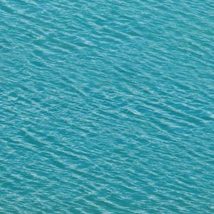 Meet your Posher, Sunnyfun